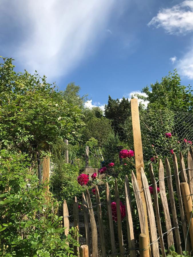 Chalet Alpenrose Schwangau Ngoại thất bức ảnh